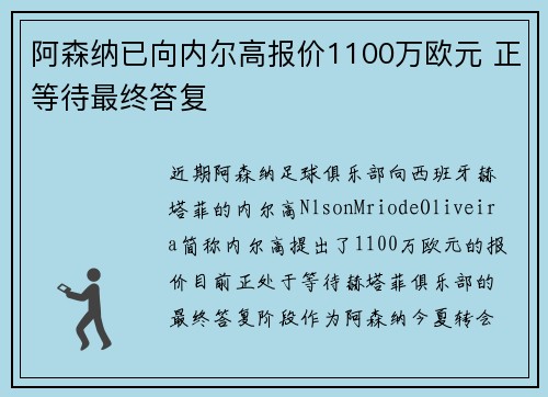 阿森纳已向内尔高报价1100万欧元 正等待最终答复