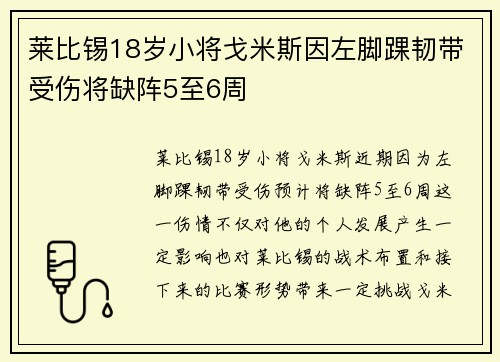 莱比锡18岁小将戈米斯因左脚踝韧带受伤将缺阵5至6周